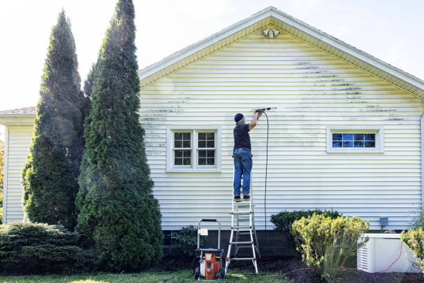 Trusted Dalton, GA Pressure Washing Services Experts